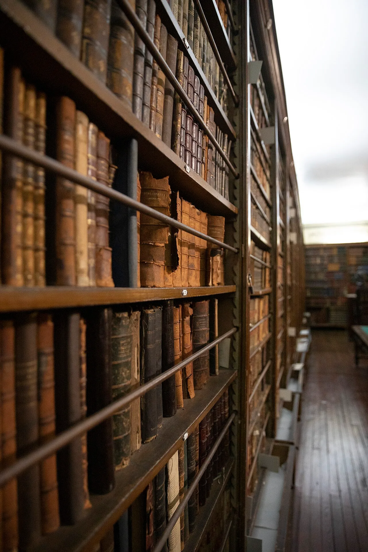 رفوف الكتب القديمة في «المكتبة الأمريكية» بمتحف ميتري، فبراير 2024